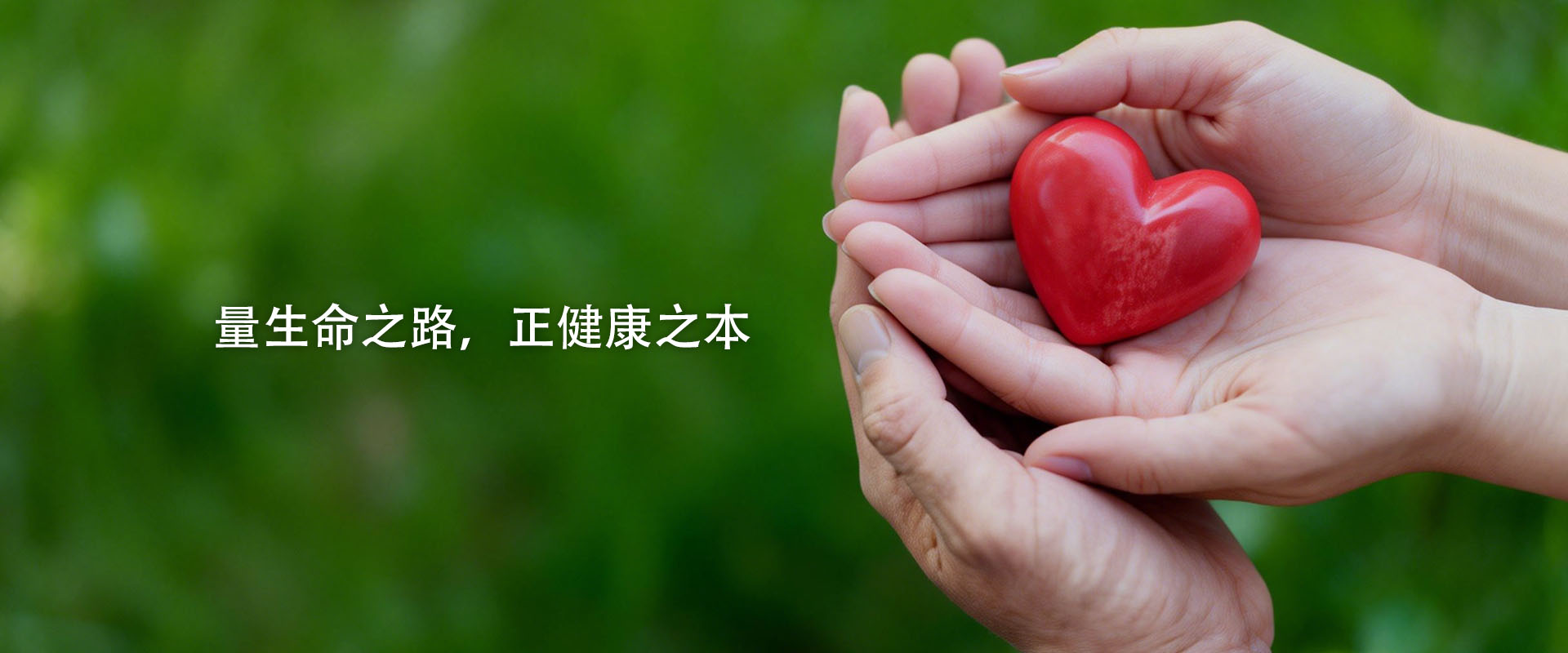 上海量正生物医学科技有限公司